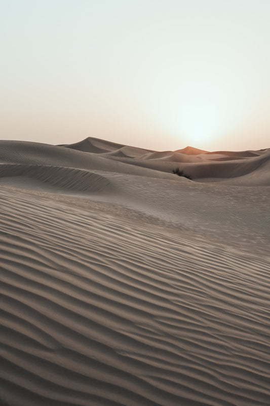 Desert Sunset Wall Art