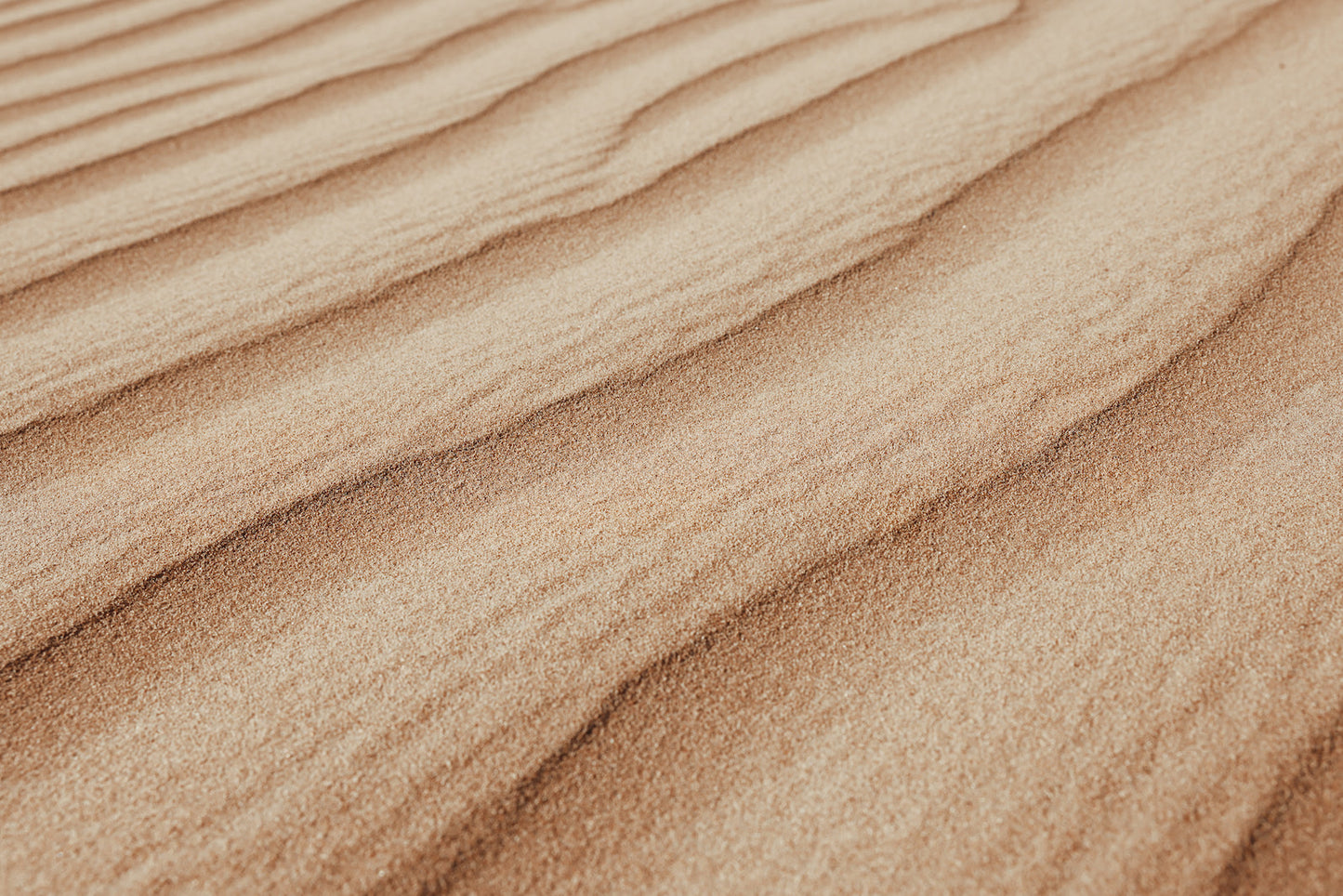 Desert Textures