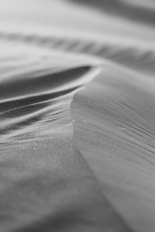 Desert Sand Dune In Black And White