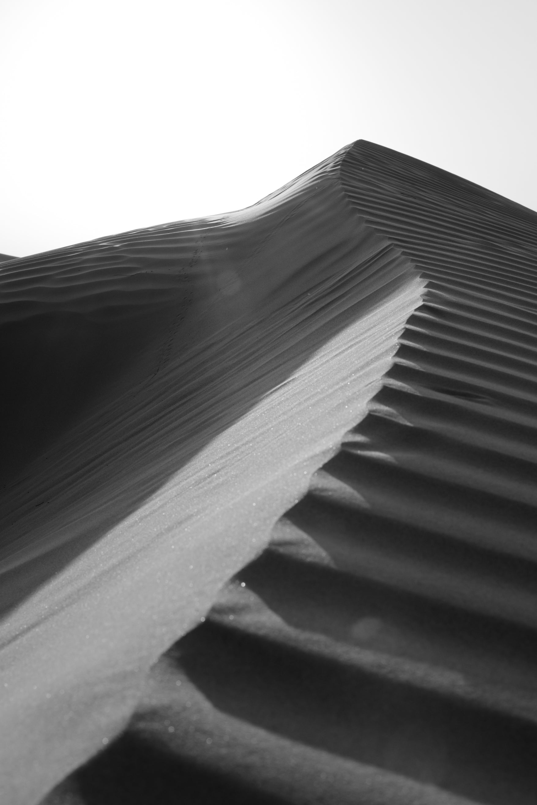 Black And White Desert Sand Dune Poster