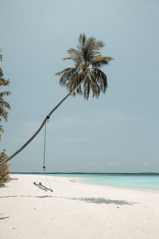 Swing On The Beach, Maldives Art Print